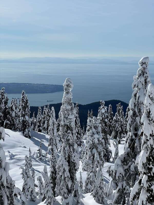 Vancouver: North Shore Mountains Snowshoeing with Transfer - Price and What You’re Actually Paying For