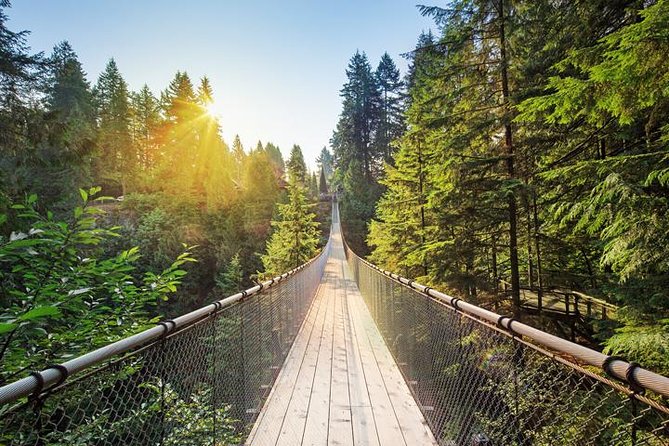 Vancouver Panorama Scenic Seaplane Tour + Suspension Bridge Tour - The best part: flying the Vancouver skyline and coastline route