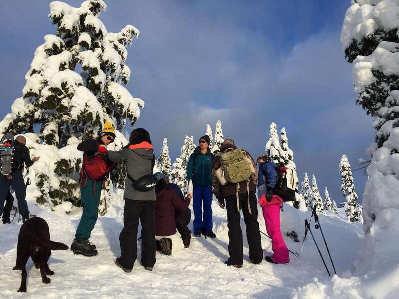 Vancouver: Panoramic View Hiking Tour - Downtown Vancouver Pickup, Small Group, Easy Start