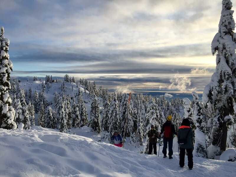 Vancouver: Panoramic View Hiking Tour - Price and Value for a 6-Hour North Shore Escape