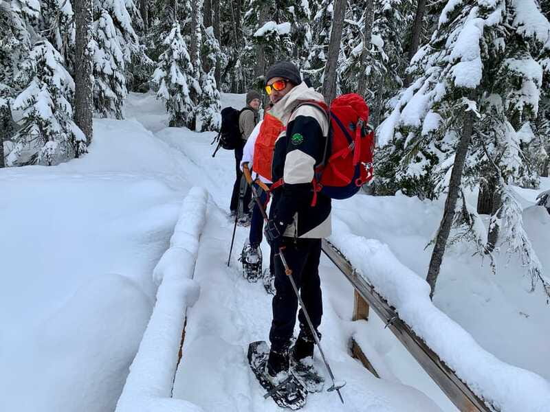 Vancouver: Panoramic View Hiking Tour - Is This Tour Right for You? (Quick Match Check)