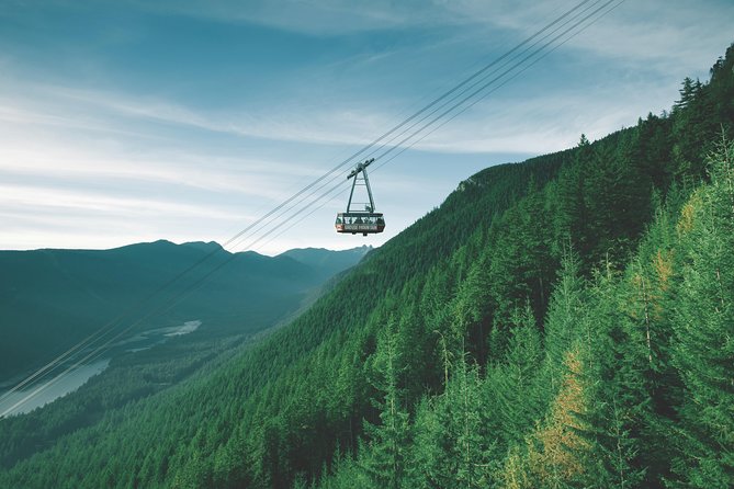Vancouver Premium Tour: Capilano Bridge + Grouse Mountain Lunch - The Downtown drive plus Stanley Park’s big-view checklist