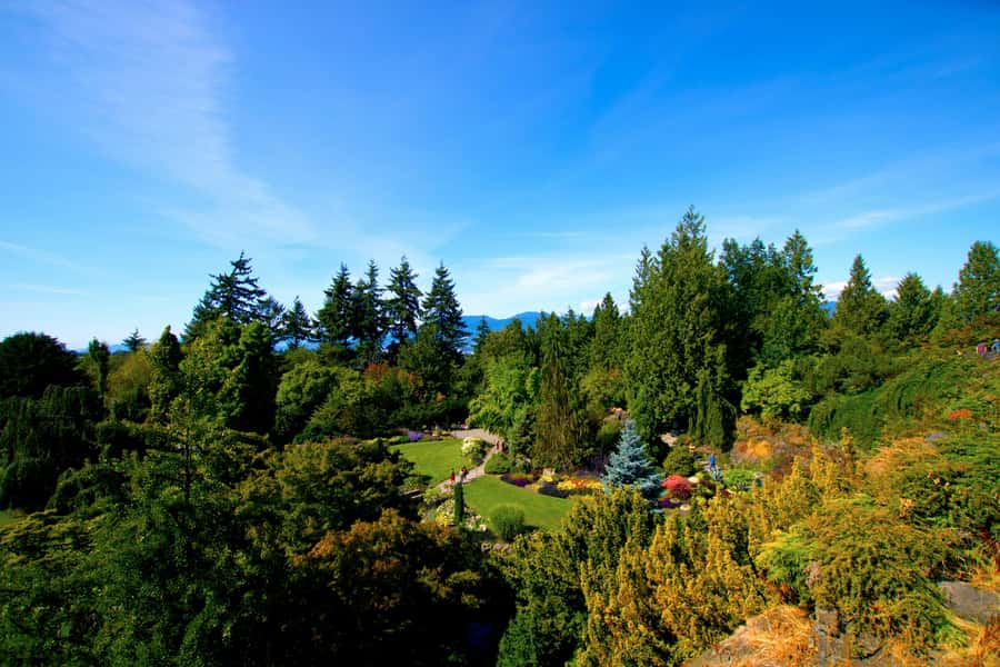 Vancouver: Private City Sights Tour by Minibus (3hrs) - West End, English Bay, and public art along Beach Avenue