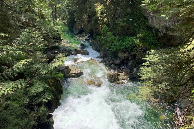 Vancouver Rainforest Hike with Waterfalls, Suspension Bridge, Old Growth Forest - Why Lynn Canyon Is Such a Great “First Nature Trip” From Vancouver