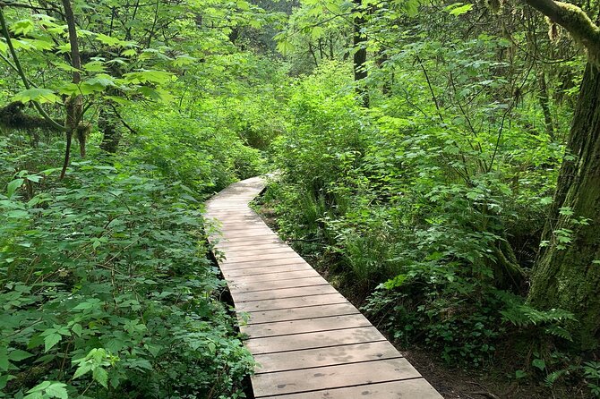 Vancouver Rainforest Hike with Waterfalls, Suspension Bridge, Old Growth Forest - Twin Falls and the Old-Growth Walk: Where the Waterfalls Steal the Show