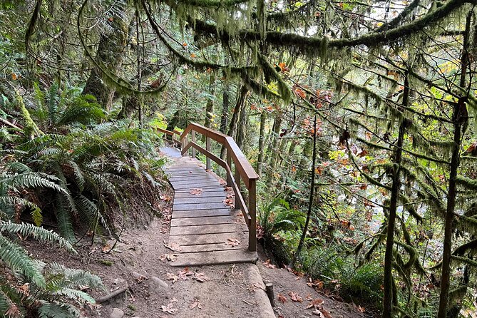 Vancouver Rainforest Hike with Waterfalls, Suspension Bridge, Old Growth Forest - Lions Gate Bridge: The City Photo Without the Big City Hassle