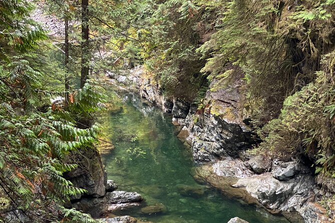 Vancouver Rainforest Hike with Waterfalls, Suspension Bridge, Old Growth Forest - Price and Value: What You Really Get for $58.56
