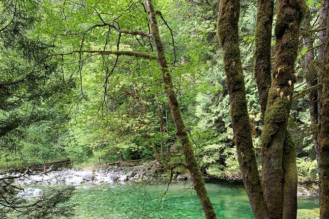 Vancouver Rainforest Hike with Waterfalls, Suspension Bridge, Old Growth Forest - Group Size and Guide Style: Why Small Matters Here