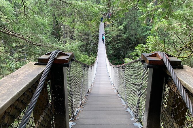Vancouver Rainforest Hike with Waterfalls, Suspension Bridge, Old Growth Forest - The Suspension Bridge: Your Quick Win at Lynn Canyon