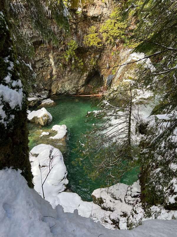 Vancouver: Rainforest Waterfall Hike and Suspension Bridge - Quick hits: what makes this tour worth your time