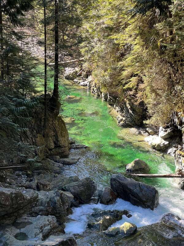 Vancouver: Rainforest Waterfall Hike and Suspension Bridge - Vancouver’s rainforest hike, without the touristy noise