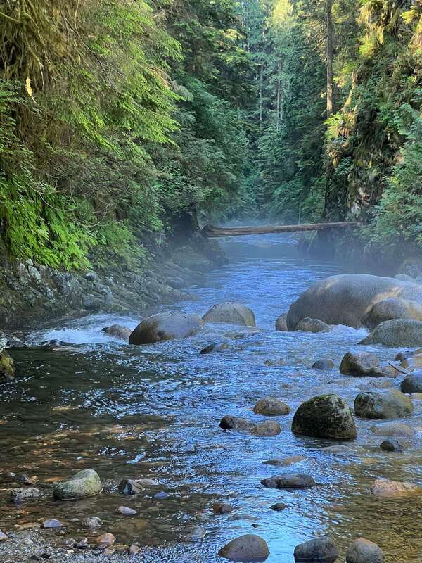 Vancouver: Rainforest Waterfall Hike and Suspension Bridge - Crossing the suspension bridge: fun thrills with real safety