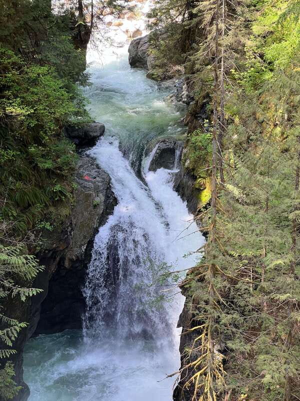 Vancouver: Rainforest Waterfall Hike and Suspension Bridge - Small-group hiking with guide Adrian: local stories that make time fly