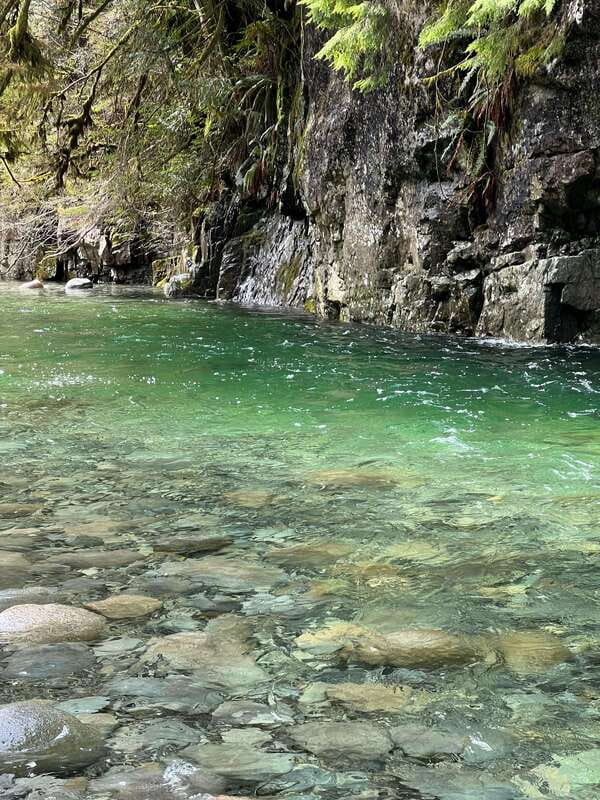 Vancouver: Rainforest Waterfall Hike and Suspension Bridge - From hotel pickup to bridge views: how the 4 hours flow
