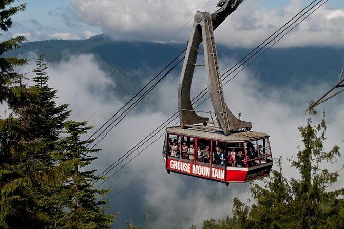 Vancouver's Finest Private Sightseeing Tour - Stanley Park in One Hour: Rainforest Feel and Seawall Views