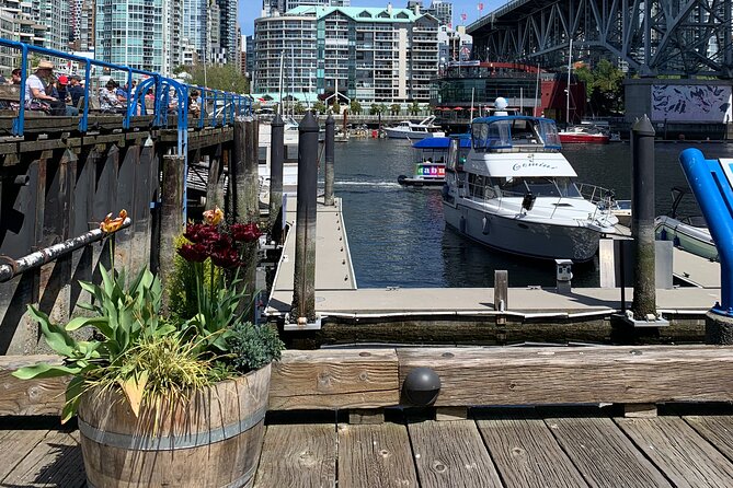 Vancouver's Finest Private Sightseeing Tour - Capilano Suspension Bridge Park: 7 Bridges and Cedar Air