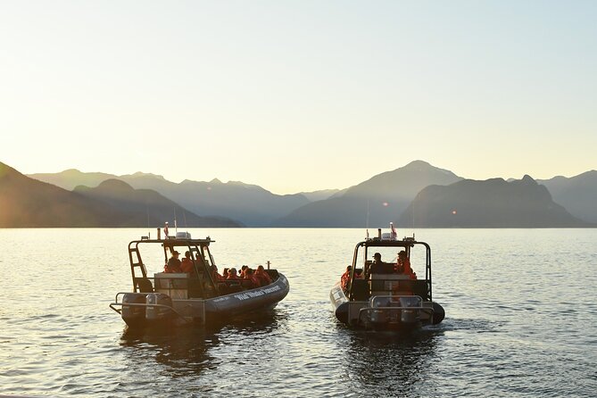 Vancouver's Intimate West Coast Whale Watching Experience - Price and value: what $177.59 buys you (and what it does not)