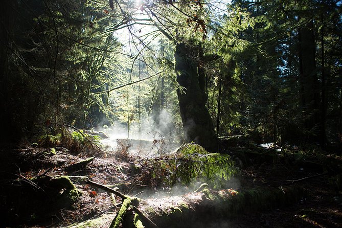Vancouver Secrets of Stanley Park Walking Tour - Group size, pace, and how to prepare for the walk