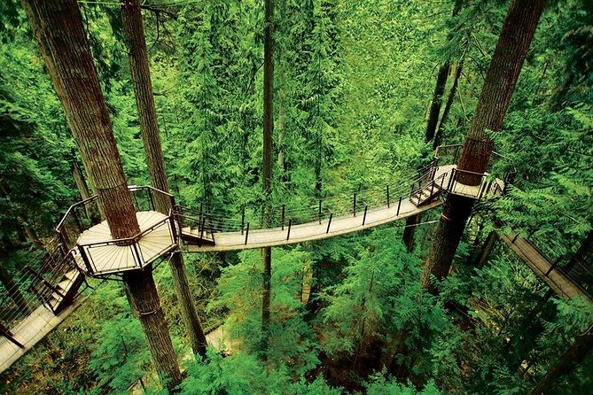 Vancouver Sightseeing and Suspension Bridge Small Group Tour - A smart half-day route that starts with Stanley Park