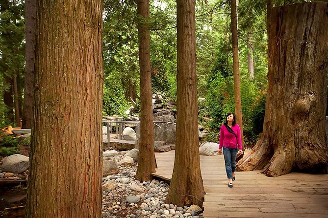 Vancouver Sightseeing and Suspension Bridge Small Group Tour - Chinatown and Gastown, quick hits with real character