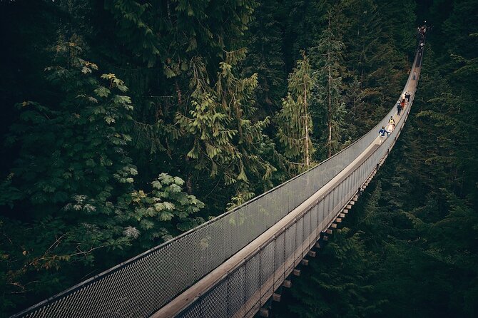 Vancouver Small Group Night Tour w/Capilano + Grouse Mtn Dinner - Price and logistics: what $283.99 really covers