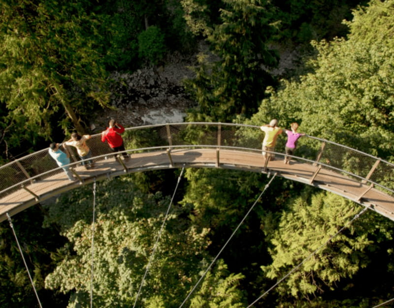 Vancouver: Small Group Tour w/Capilano & Grouse Mtn Lunch - Grouse Mountain Skyride to the top and lunch at Altitude Restaurant