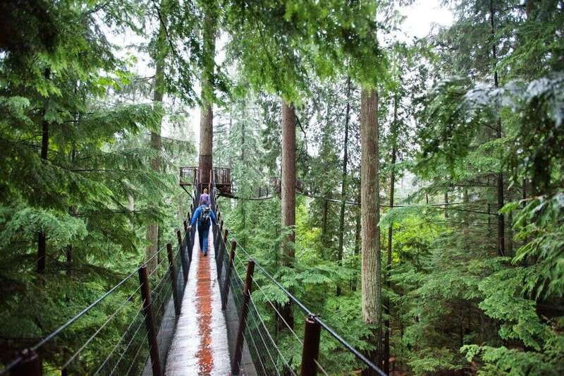 Vancouver: Small Group Tour w/Capilano & Grouse Mtn Lunch - Stanley Park drive with Prospect Point and totem poles