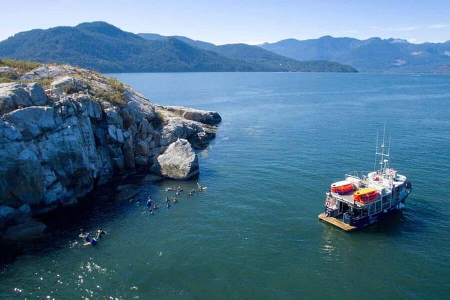 Vancouver: Snorkel, Kayak, and Seal Adventure Boat Tour - Who should book this seal snorkeling and kayaking tour