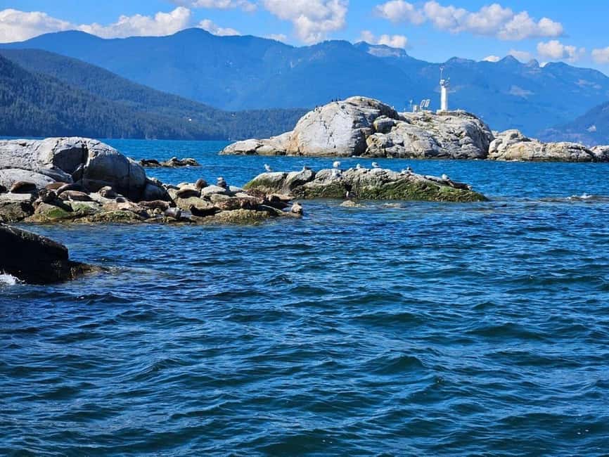 Vancouver: Snorkel, Kayak, and Seal Adventure Boat Tour - Gear fitting and warm-up: wet suits, snorkel kit, and comfort tricks