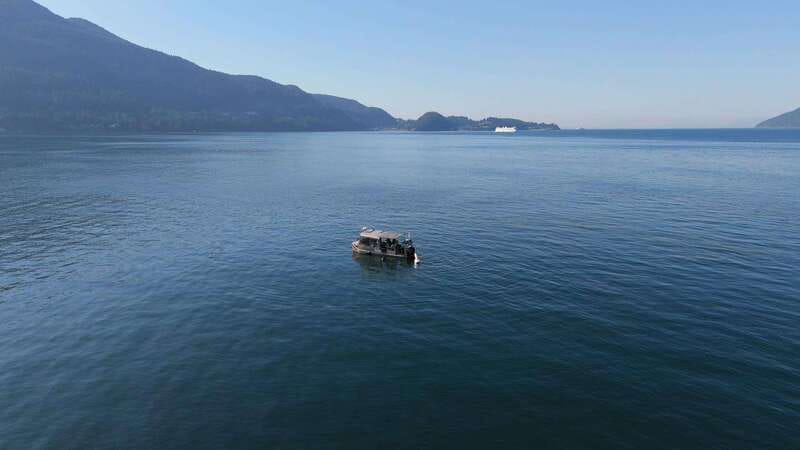 Vancouver: Snorkeling Seals Kayaking Scenic Boat Tour - Should you book this Vancouver seals snorkeling and kayaking tour?