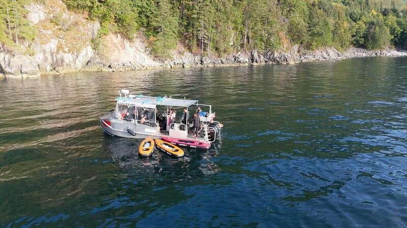 Vancouver: Snorkeling Seals Kayaking Scenic Boat Tour - What you might see in Howe Sound: seals, starfish, whales, and more