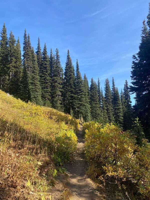 Vancouver/Squamish: Garibaldi Park Panorama Ridge Hike - Rubble Creek trailhead: the warm-up that still builds momentum