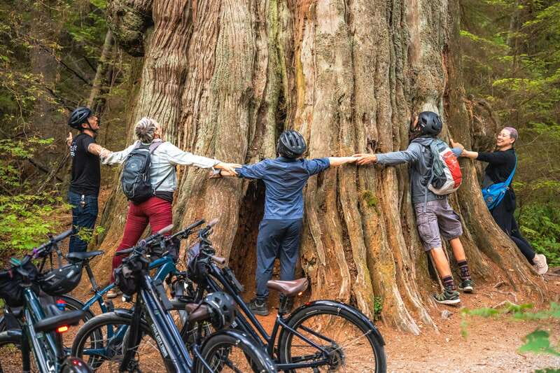 Vancouver: Stanley Park Bicycle Tour - The West End and English Bay Intro: Ocean Views Before the Big Park