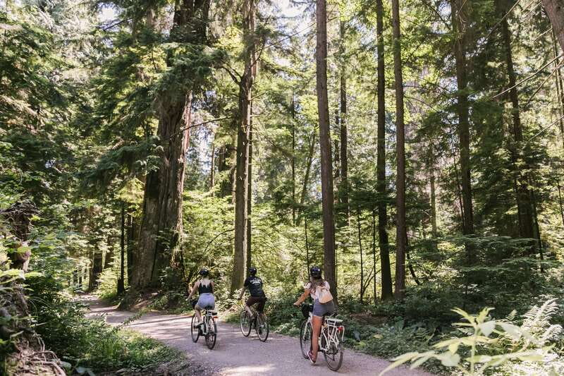 Vancouver: Stanley Park Bicycle Tour - Old-Growth Trees and Forest Trails: Big Silhouettes, Easy Pace