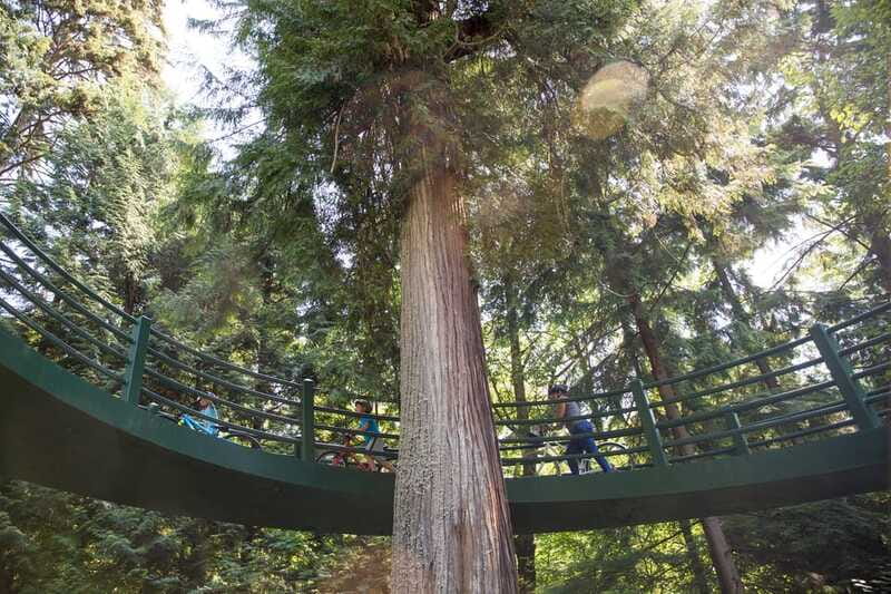 Vancouver: Stanley Park Bicycle Tour - How Hard Is It, Really? Fitness Level, Weather, and E-Bike Option