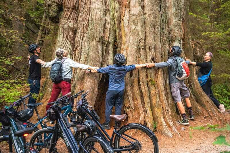 Vancouver: Stanley Park Bicycle Tour - Should You Book the Vancouver Stanley Park Bicycle Tour?