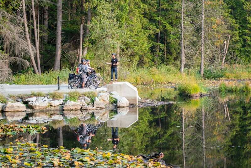Vancouver: Stanley Park Bicycle Tour - Entering Stanley Park: Rainforest Biodiversity and Totem Pole Context