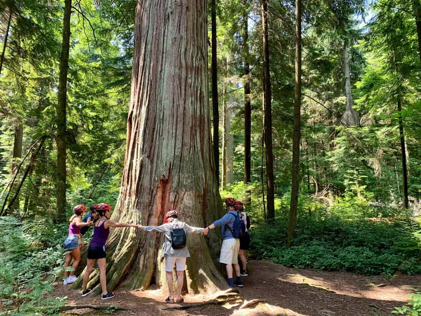 Vancouver: Stanley Park Bike Tour | E-Bike Upgrade Avail. - The route in plain English: seawall views, totem poles, beaches, and bridge angles