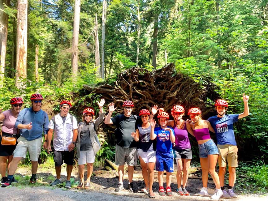 Vancouver: Stanley Park Bike Tour | E-Bike Upgrade Avail. - Who should book this, and who should reconsider