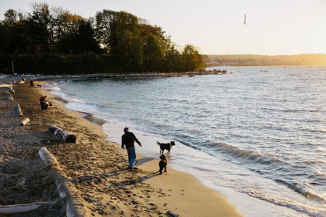 Vancouver Sunset and City Lights Trolley Tour - Stop 3: English Bay for that golden evening camera moment