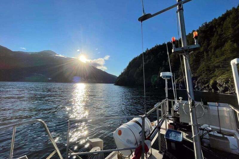 Vancouver: Sunset Boat Cruise with Complementary Bubbly - Who this cruise suits best, and who should reconsider