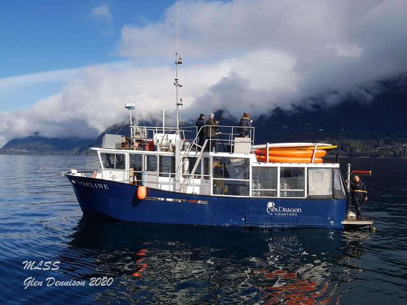 Vancouver: Sunset Boat Cruise with Complementary Bubbly - Price and value: is $80 per person reasonable?