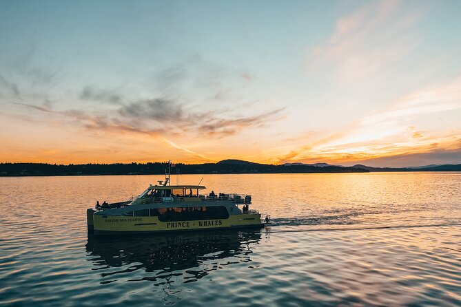 Vancouver Sunset Whale Watching Adventure with Free Photos - From Granville Island to the whale zone, in comfort
