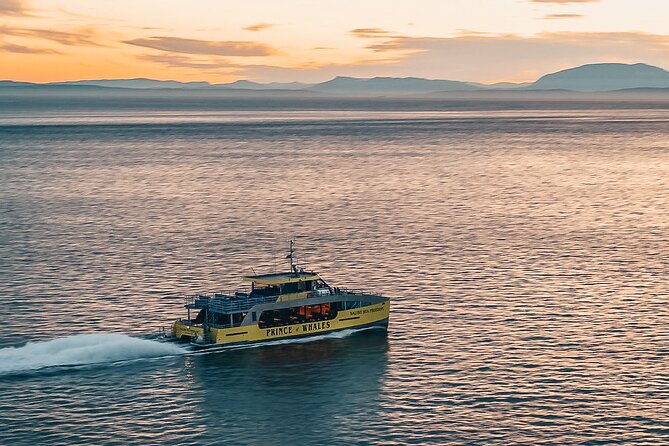 Vancouver Sunset Whale Watching Adventure with Free Photos - What the catamaran ride feels like (and how to choose your spot)