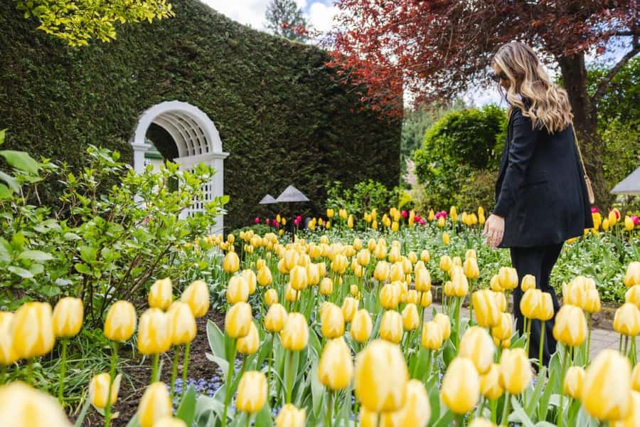 Vancouver to Victoria Seaplane Day Trip + Butchart Gardens - Butchart Gardens on 55 acres: what to prioritize when your time is limited