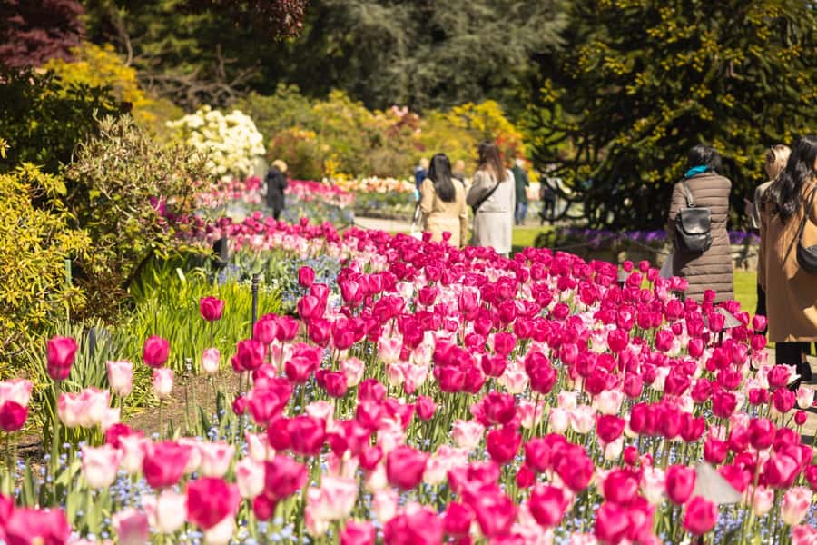 Vancouver to Victoria Seaplane Day Trip + Butchart Gardens - Should you book this tour?