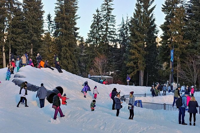 Vancouver to Whistler Private Tour - Whistler: 4 hours in the alpine village, plus Olympic energy