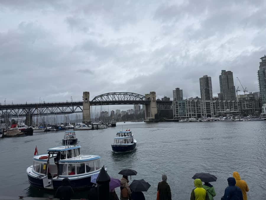 Vancouver Tour/Car/Grandville Island/Queen Elizabeth/China T - Queen Elizabeth Park and the Bloedel Conservatory: the view stop you will remember