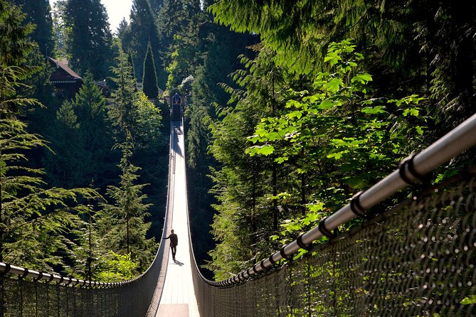 Vancouver Tour: Stanley Park, Granville Island & Capilano Bridge - The Lions Gate Bridge build-up to Capilano