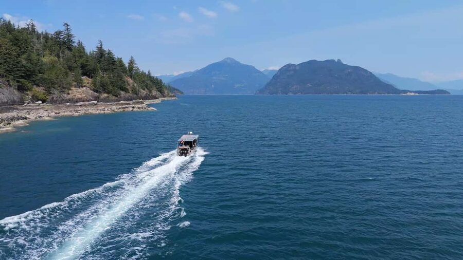 Vancouver UNESCO Biosphere Reserve Wildlife Scenic Boat Tour - Key things you should know before you go